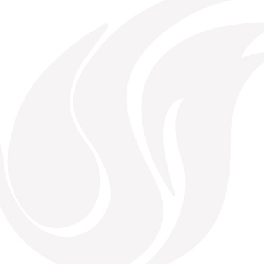 Steve's Plumbing All Grey Logo